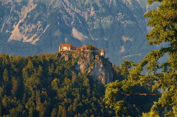 Bled Hrad Vrcholu Hory Postavený Nad Městem Bled Slovinsku Výhledem — Stock fotografie