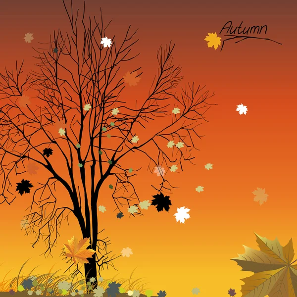 Árbol de otoño — Vector de stock