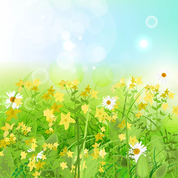 Green Grass Yellow Flowers 1 — Stock Vector