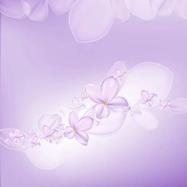 Lilac flower — Stock Vector