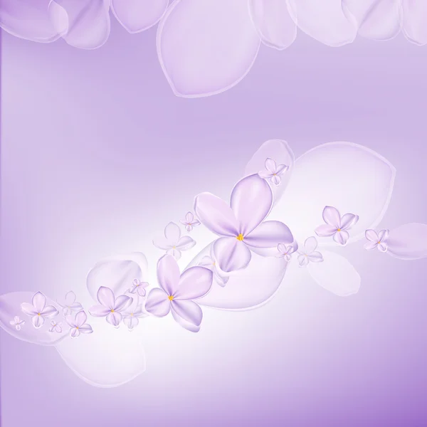 Lilac flower Stock Illustration
