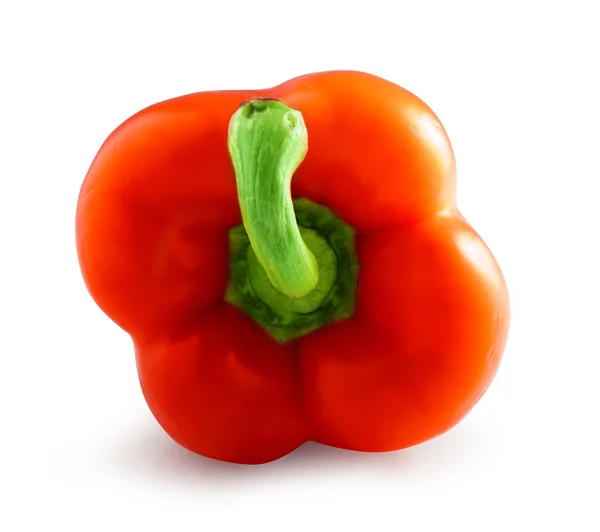 Pepper red — Stock Photo, Image