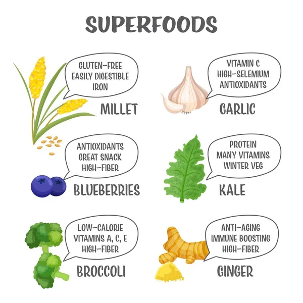 Superfood gyűjtemény. Költő, áfonya, brokkoli, fokhagyma, kelkáposzta, gyömbér. — Stock Vector