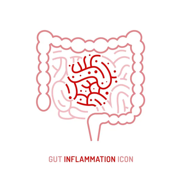 Inflamación intestinal, dolor, signo de enojo. Ilustración vectorial editable — Vector de stock