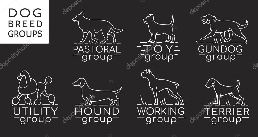 Dog breed groups logotypes in modern outlined style. Editable vector illustration isolated on a dark background. Breeding organisation sign. Pictogram set. Superstar of the canine kingdom