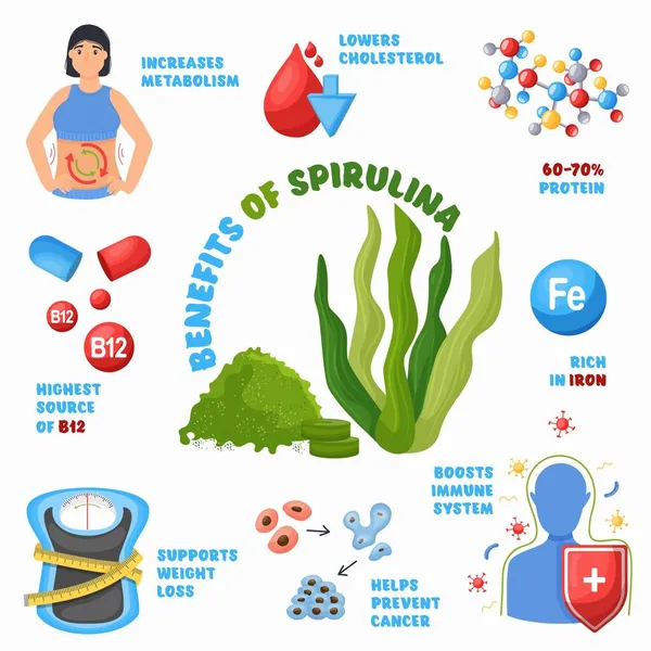 Espirulina algas beneficios para la salud infografía, publicidad de superalimentos. Algas marinas saludables, suplemento vitamínico dietético — Vector de stock