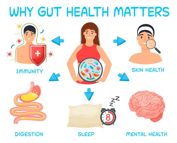 Por qué la salud intestinal importa. Cartel de paisaje. Infografía médica. — Vector de stock