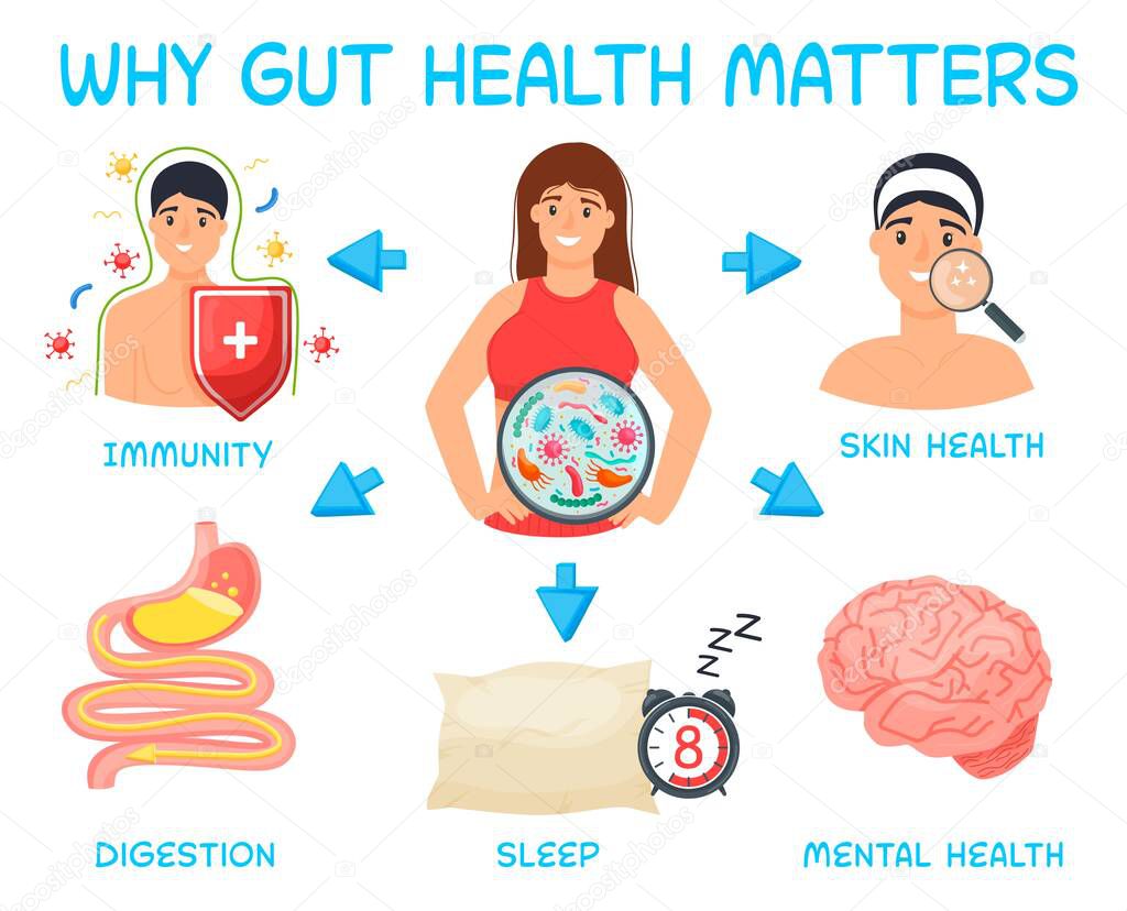 Why gut health matters. Landscape poster. Medical infographic.