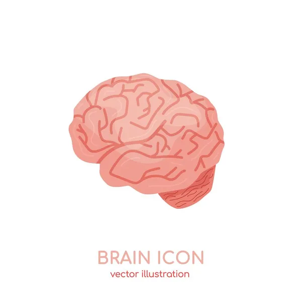 Hersenicoon. Cerebrale, zenuwstelsel orgaan, geest teken. Vector illustratie voor medische apps. Begrip geestelijke gezondheid — Stockvector