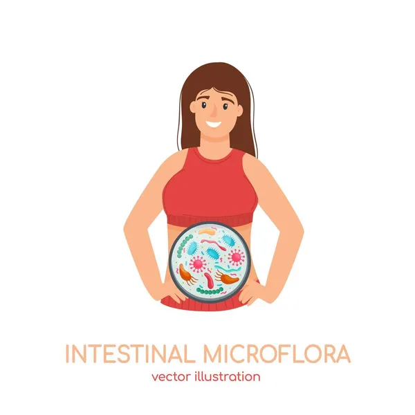 Microflora intestinal. Digestión saludable, buena microbiota. Publicidad de productos lácteos probióticos, medicamentos prebióticos — Vector de stock