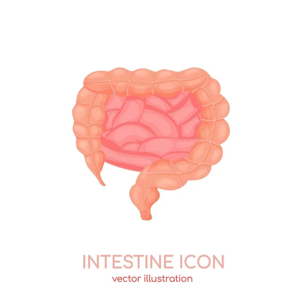 Icono del intestino humano. Tracto sano del sistema digestivo, intestino, canal intestinal. Ilustración vectorial para sitio web médico, aplicaciones — Vector de stock