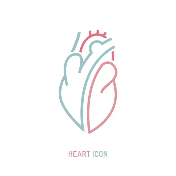 Icono del corazón sano, órgano humano interno del sistema circulatorio cardiovascular. — Vector de stock