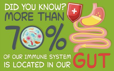 Gut Health manzara posteri. Düzenlenebilir vektör illüstrasyonu