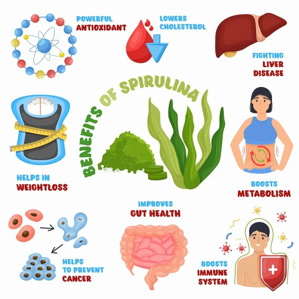 Benefícios da alga espirulina, superalimento para uma alimentação saudável. Algas, vitaminas suplemento dietético, ilustração vetorial — Vetor de Stock