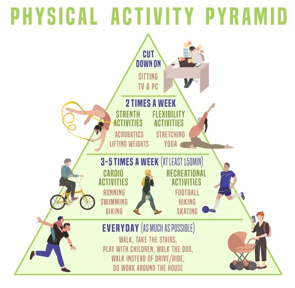 Everyday physical activity pyramid. Vector illustration isolated on a white background — Stock Vector