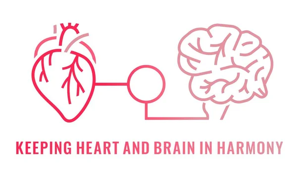 Conexão coração-cérebro. Saúde do coração e da mente estão entrelaçados. —  Vetores de Stock