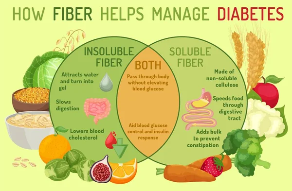 Como a fibra dietética ajuda a controlar a diabetes. Infográficos médicos —  Vetores de Stock