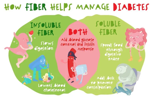 Wie Ballaststoffe helfen, Diabetes zu bewältigen. Gesundheitswesen, Ernährung, medizinisches Image. — Stockvektor