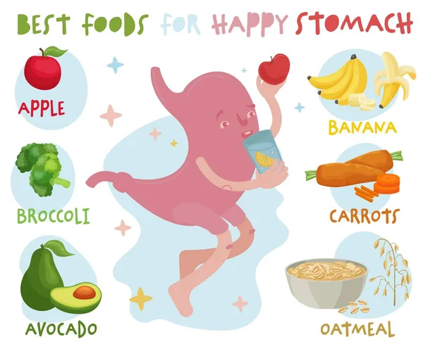 What to eat to make your stomach healthy. Editable vector illustration — Image vectorielle