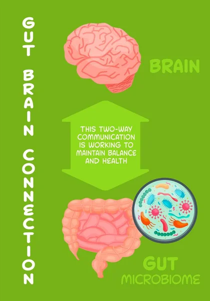 Γκατ-εγκεφαλική σύνδεση. Ιατρική, επιστημονική, ιατρική έννοια. Διάνυσμα — Διανυσματικό Αρχείο