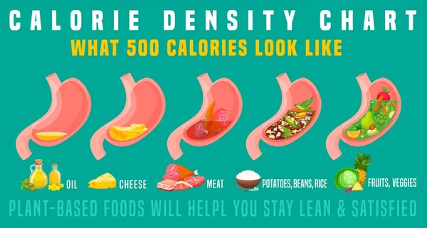 Kalori yoğunluğu. Midede 500 kalori nasıl görünür?. — Stok Vektör