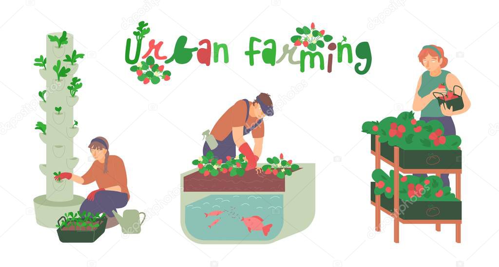 Urban farming, gardening. Flat characters. Editable vector illustration