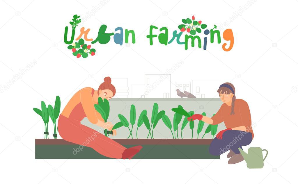 Urban farming, gardening. Editable vector illustration in modern style