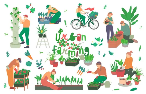 Városi gazdálkodás, kertészkedés. Lapos karakterek. Szerkeszthető vektor illusztráció — Stock Vector