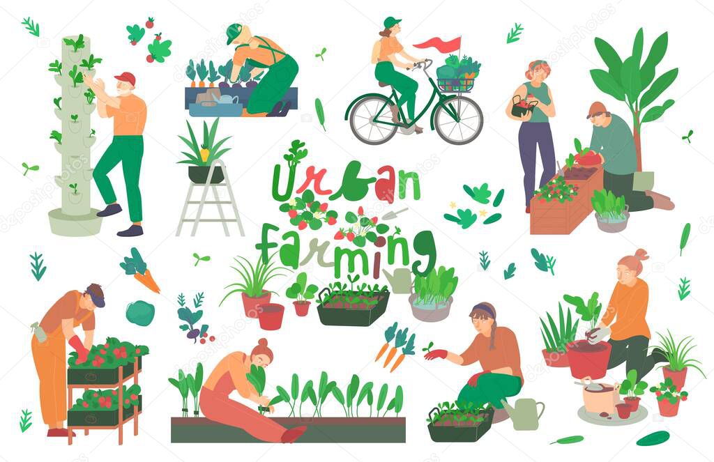 Urban farming, gardening. Flat characters. Editable vector illustration