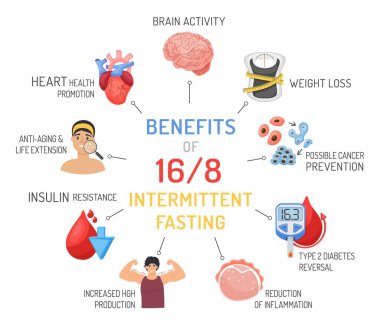 Intermittent fasting benefits. Personal diet plan concept. Help your body burn fat. Specific time eating. World s most popular health trend. Editable vector illustration isolated on a white background