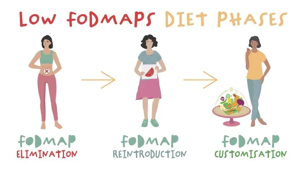 Low Fodmaps Diet Phases Fodmaps Hard Digest Carbohydrates Sugars Healthy — ストックベクタ