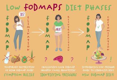 Low FODMAPS diet phases. Fodmaps are hard to digest carbohydrates and sugars. Healthy nutrition infographics. Irritable Bowel Syndrome. Digestive problems causes. Landscape poster. Vector illustration