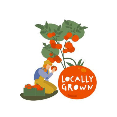 Direct from farm. Premium quality locally grown tomatoes. Organic food, farming sticker. Eco-friendly emblem for local vegetables production. Vector illustration isolated on a white background
