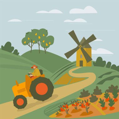 Countryside in summer. Land used primarily for the production of plant or animal crops. Agriculturally used areas. Ranch access roads. Editable isolated vector illustration in a flat style.