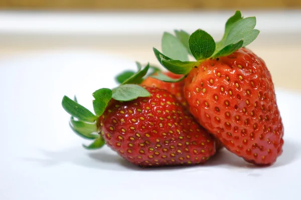 Aardbeien — Stockfoto