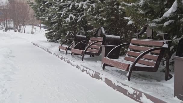 Bancos na praça durante a queda de neve. Inverno na cidade siberiana. — Vídeo de Stock