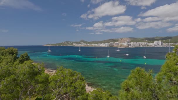 Segling på Balearerna. Statisk utsikt över många båtar i en vik på Ibiza ön. — Stockvideo