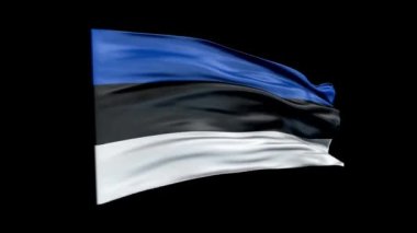 Gerçekçi Estonya bayrağı 3 boyutlu animasyon sallıyor. Estonya bayrağı. 4K Estonya bayraksız döngü canlandırması.