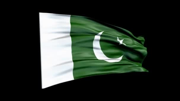 407 Pakistani flag Videos, Royalty-free Stock Pakistani flag Footage |  Depositphotos