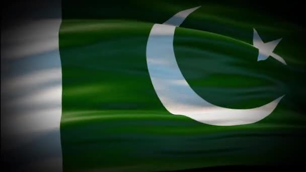 Animation Pakistan flagga viftar sömlös loop. Pakistansk flagga viftar i vinden. Realistisk 4K nationalflagga av Pakistan Närbild. — Stockvideo