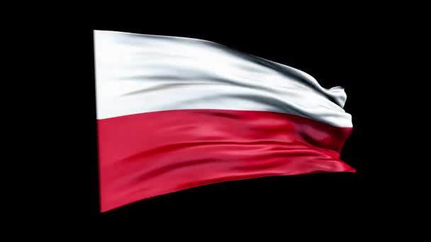 现实的波兰国旗在挥动3D动画。波兰的国旗。4K波兰国旗无缝循环动画. — 图库视频影像