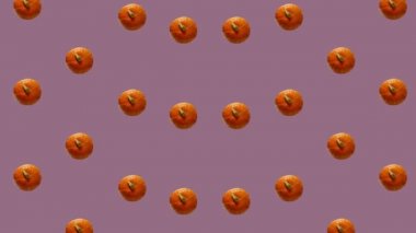 Renkli turuncu balkabağı deseni. Üst Manzara. Balkabağıyla kusursuz desen. Pop sanat tasarımı. Gerçekçi animasyon. 4K video hareketi