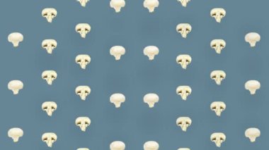 Renkli taze mantar deseni. Şampiyon dilimlenmiş kusursuz desen. Üst Manzara. Pop sanat tasarımı. Gerçekçi animasyon. 4K video hareketi