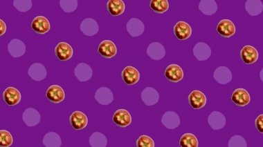 Taze elmaların renkli deseni. Üst Manzara. Elmayla kusursuz desen. Pop sanat tasarımı. Gerçekçi animasyon. 4K video hareketi