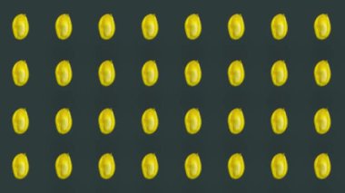 Yeşil arka planda taze mangolu renkli meyve deseni. Mangolu kusursuz desen. Gerçekçi animasyon. 4K video hareketi