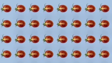Taze kırmızı domateslerin renkli deseni. Kiraz dilimlenmiş domatesli kusursuz desen. Pop sanat tasarımı. Gerçekçi animasyon. 4K video hareketi