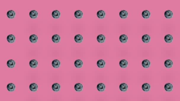 ピンクの背景に新鮮なブルーベリーのカラフルなパターン。ブルーベリーとのシームレスなパターン。現実的なアニメーション。4Kビデオモーション — ストック動画