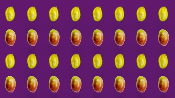 보라색 배경에는 싱싱 한 망고의 다채 로운 과일 무늬가 있다. 망고가들어간 끈적끈적 한 무늬 야. 리얼리티 애니메이션. 4K 비디오 모션 — 비디오