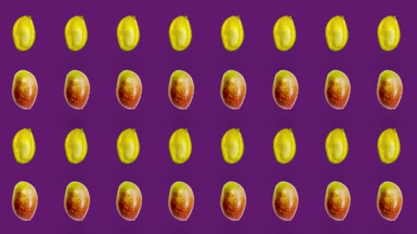 Bunte Fruchtmuster frischer Mango auf violettem Hintergrund. Nahtloses Muster mit Mango. Realistische Animation. 4K-Videobewegung — Stockvideo