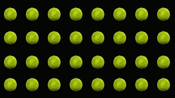 Bunte Fruchtmuster frischer Limetten auf schwarzem Hintergrund. Nahtloses Muster mit Kalk. Realistische Animation. 4K-Videobewegung — Stockvideo